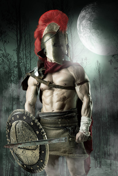 Древний солдат или Гладиатор
 - Фото, изображение