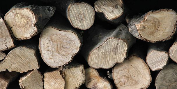Texture de cheminée naturelle tas de bois avec anneaux d'année
. - Photo, image