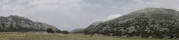 Panoramablick auf los llanos de libar im Naturpark von Grazalema, Andalusien - Foto, Bild