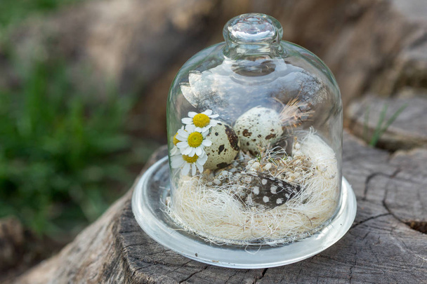 エコ羽とカモミールの花束 - 写真・画像