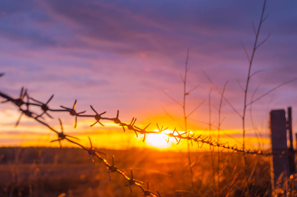 Fence with barbed wire on the background of the bright sunset - Photo, Image