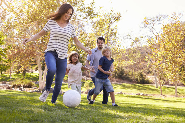 Family Playing Soccer - Photo, image