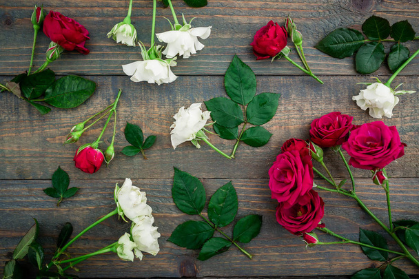 bright red and white roses - Valokuva, kuva
