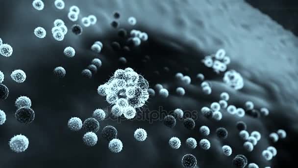 lymphocytes against coronaviruses - Materiaali, video