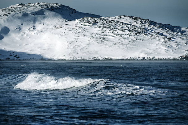 Morze Barentsa w Ocean Arktyczny. Półwysep Kolski, Rosja - Zdjęcie, obraz