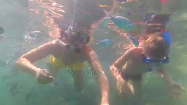 Dziecko i dziewczyna kąpać się w morzu z ryb. Nurkowanie w maskach - Materiał filmowy, wideo