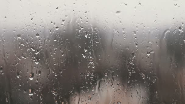 La pluie tombe sur les fenêtres des ménages
. - Séquence, vidéo