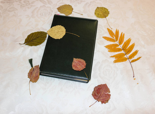 Notebook and yellow leaves - Foto, immagini