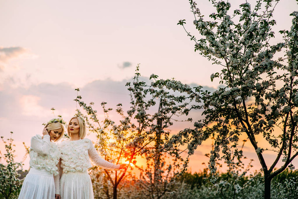  twin sisters in a cherry orchard - Zdjęcie, obraz