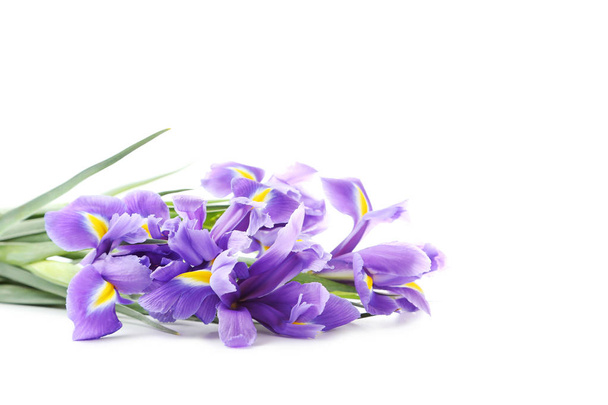 Bouquet of iris flowers  - Zdjęcie, obraz
