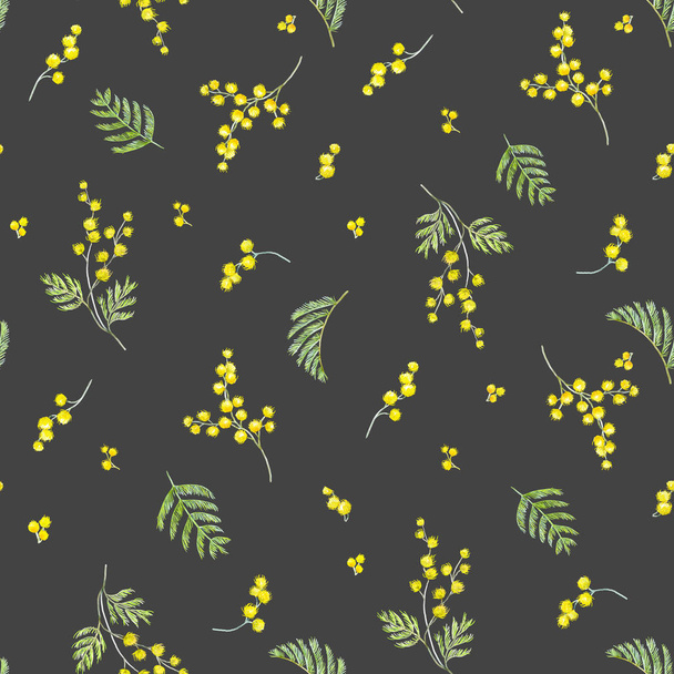 Watercolor mimosa pattern - Zdjęcie, obraz