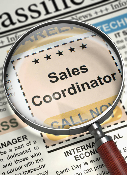 Sales Coordinator Wanted. 3D. - Photo, Image