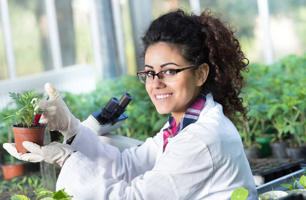 Biólogo vertiendo químicos en maceta con brote
 - Foto, Imagen