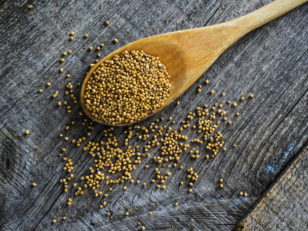 colher com semente de mostarda
 - Foto, Imagem