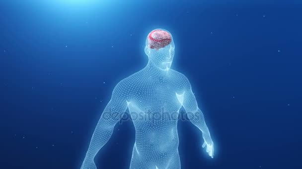 modelo 3d del cuerpo humano con un cerebro inflamado
 - Imágenes, Vídeo