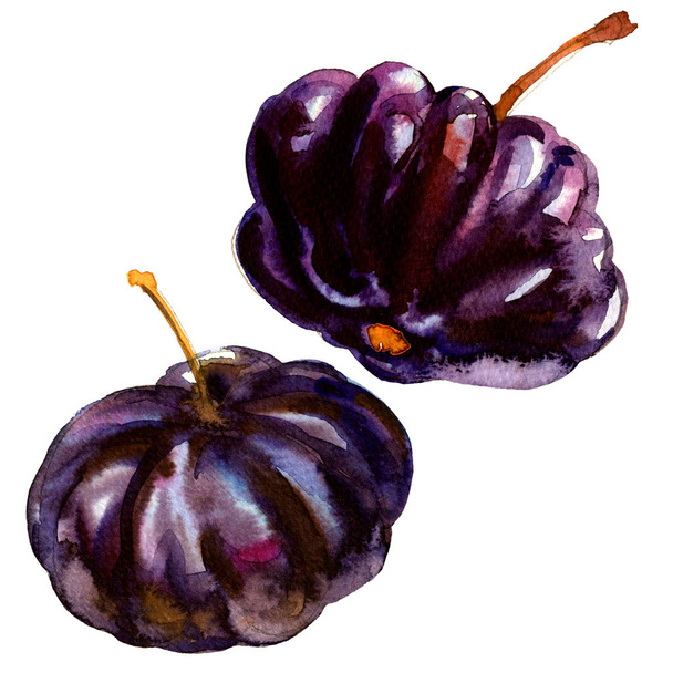 Черный Суринам Cherry Pitanga, тропические фрукты Eugenia uniflora, изолированные, акварельные иллюстрации на белом
 - Фото, изображение