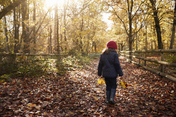 Girl Walking Through Autumn Countryside - Fotoğraf, Görsel
