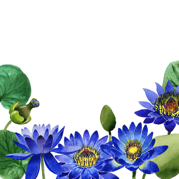 Flor de lótus azul Wildflower moldura em um estilo de aquarela isolado
. - Foto, Imagem