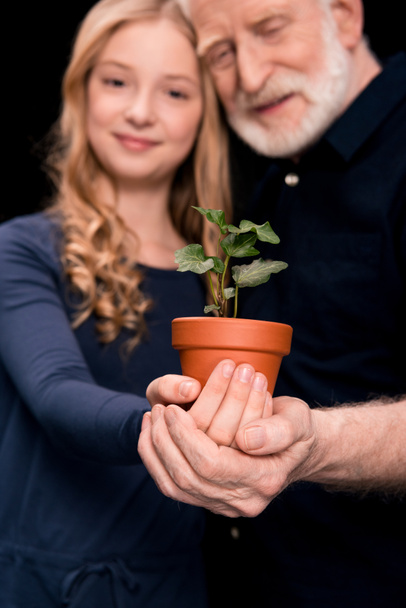 Großvater und Enkelin mit Efeupflanze - Foto, Bild