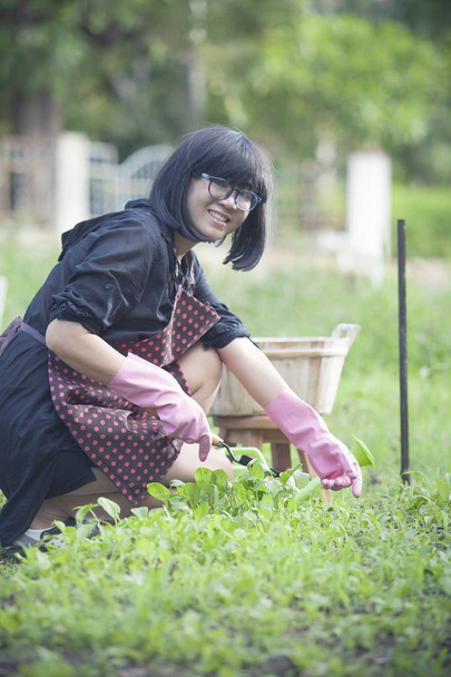 sorridente rosto de asiático mulher casa jardinagem trabalho felicidade lif
 - Foto, Imagem