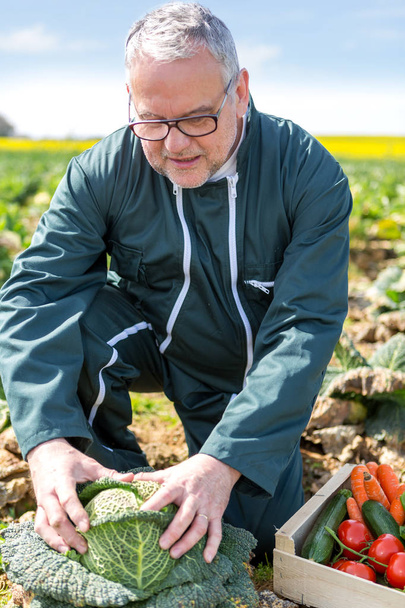 Senior farmer in field - Valokuva, kuva