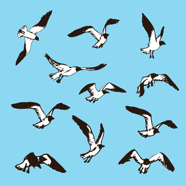 Esboço de pássaros. Desenho ilustração de gaivotas
 - Vetor, Imagem