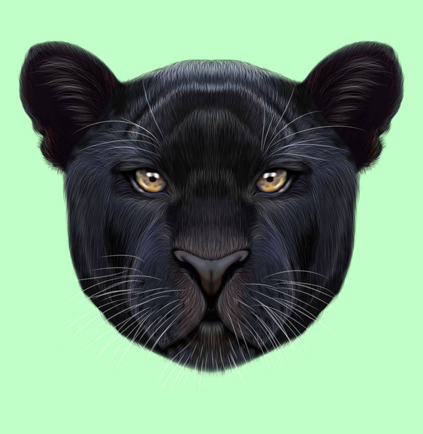 Geïllustreerde portret van Black panther - Foto, afbeelding