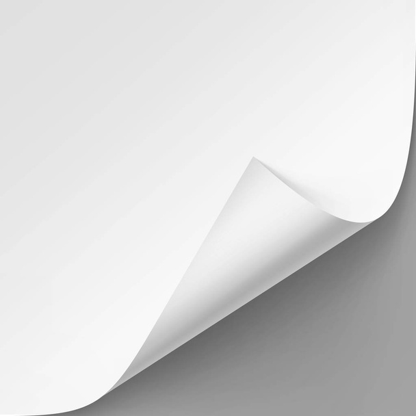 Vector Curled hoek van wit papier met schaduw - Vector, afbeelding