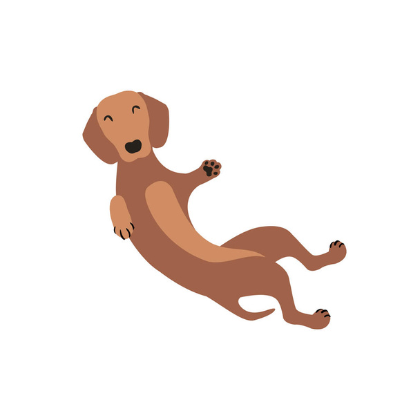 gember teckel vector hond - Vector, afbeelding