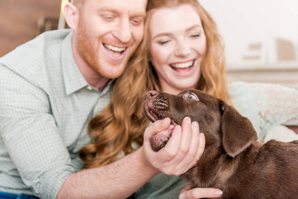 couple playing with puppy   - Foto, Imagem