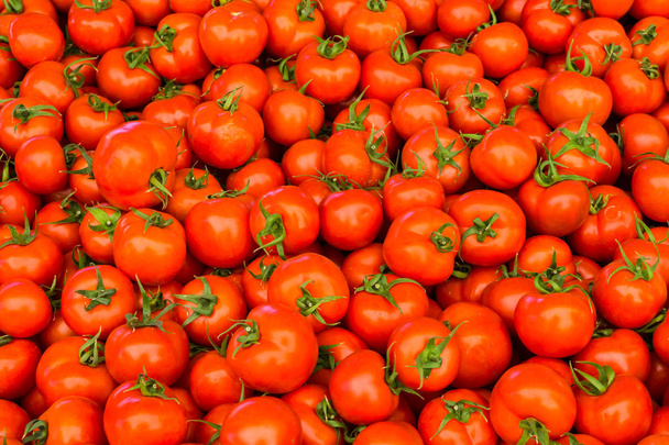 group of red tomatoes - Photo, Image