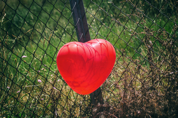 balon czerwony serca - Zdjęcie, obraz