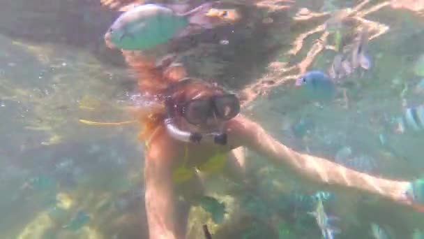 Dziecko i dziewczyna kąpać się w morzu z ryb. Nurkowanie w maskach - Materiał filmowy, wideo