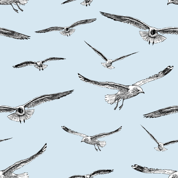 sketches of the flying gulls - Vektör, Görsel