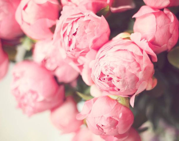 Vintage rózsaszín pünkösdi rózsa  - Fotó, kép