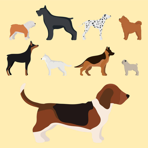 Divertido perro de dibujos animados carácter pan en ilustración vectorial estilo de dibujos animados
. - Vector, Imagen
