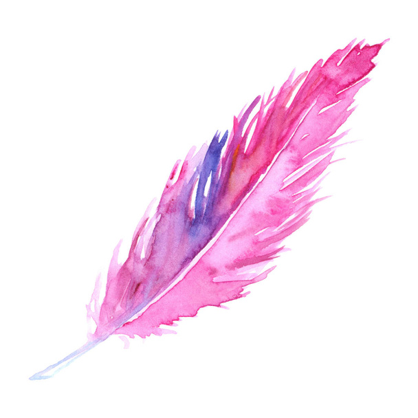 Watercolor pink purple crimson violet bird rustic feather isolated - Foto, Imagem