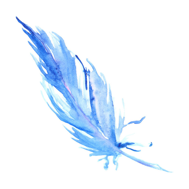 Watercolor blue cyan bird rustic feather isolated - Foto, immagini