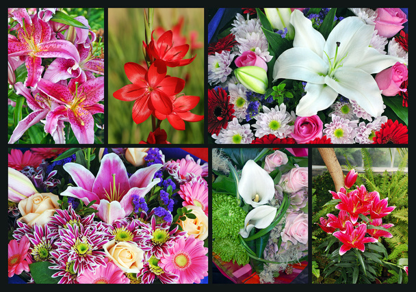 Colorido collage de flores de lirio
 - Foto, Imagen