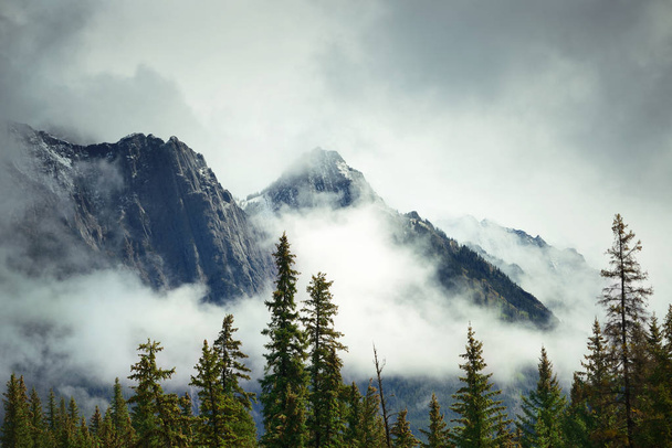 Banff National Park, Canada - Φωτογραφία, εικόνα