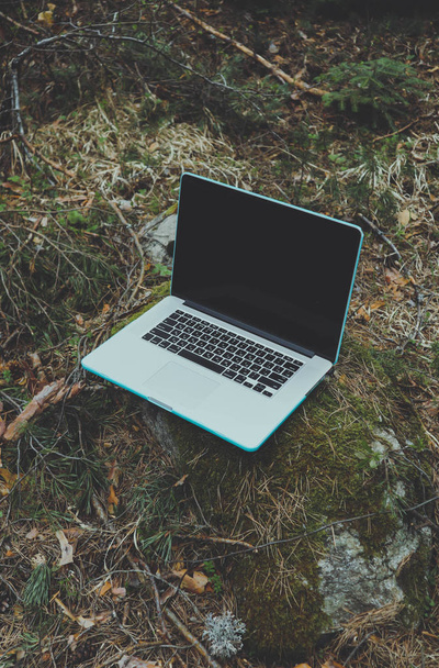 Freelancer laptopcomputer verloren in het bos-glade, temidden van het groen, zomer.  - Foto, afbeelding