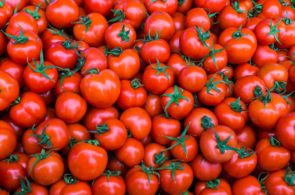 Группа красных помидоров - Фото, изображение