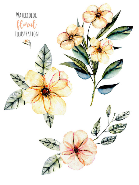 Набір акварельних рожевих квітів і листя букетів ілюстрація
 - Фото, зображення
