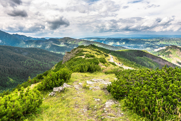 Spring mountain landscape, view of hiking trail on hillside of the ridge of Tatra Mountains - Fotografie, Obrázek