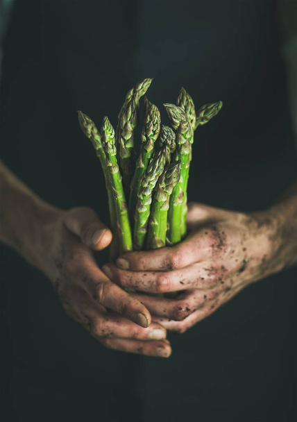 Bunch of fresh green asparagus - Фото, изображение