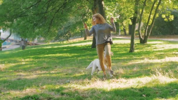 woman play with Labrador - Materiał filmowy, wideo