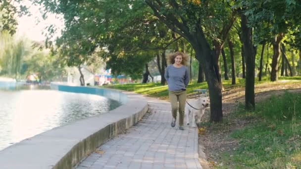 Vrouw lopen met de hond In Park - Video