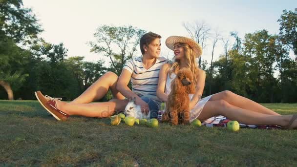 Happy couple on picnic - Πλάνα, βίντεο