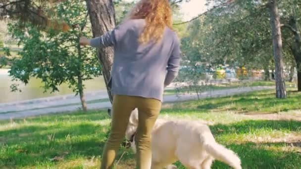 woman play with Dog  - Materiał filmowy, wideo
