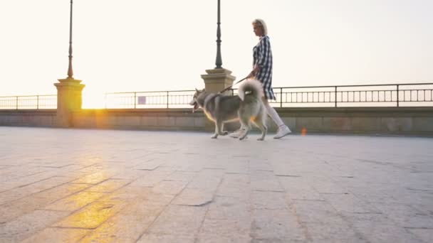 woman walking with Dog on seacoast  - Záběry, video